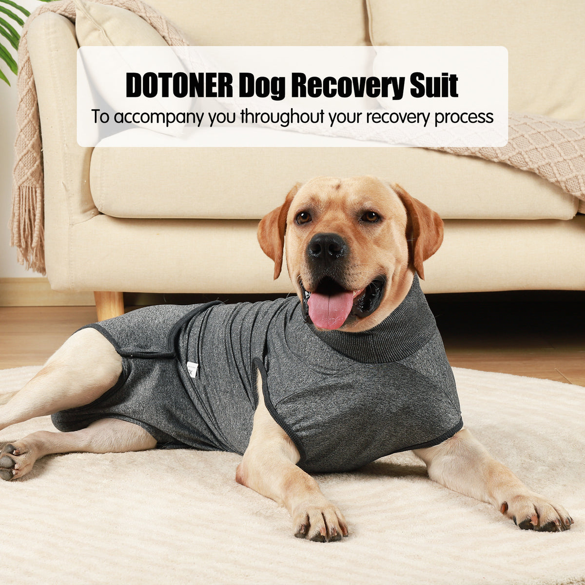 Dog Post-Surgery Recovery Suit – Comfortable Protective Clothing for Dogs
