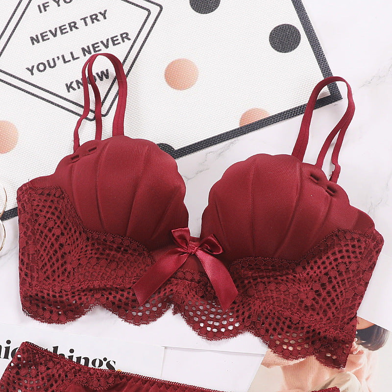 Women’s Lace Trim Shell Cup Bra – Supportive Palm Cup Shaping Lingerie