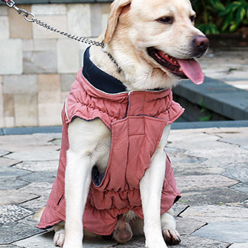 Kawaii Winter Dog Jacket – Thick Retro Warm Pet Coat for Small Dogs