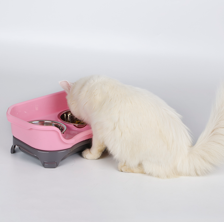Stainless Steel Double Pet Feeding Bowl Set – Anti-Spill Dog & Cat Feeder