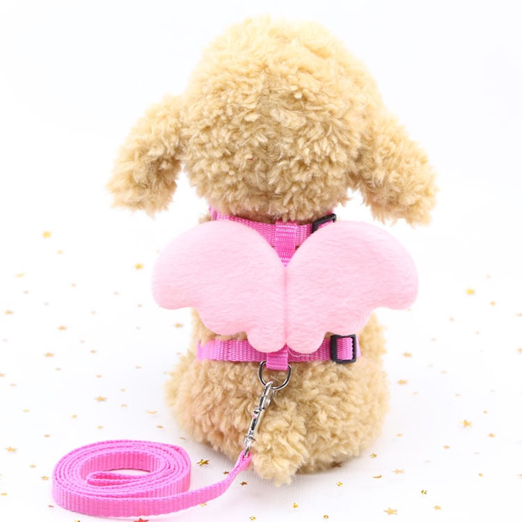 Cute Angel Dog Harness & Leash – Adjustable Polyester Walking Set for Small Dogs