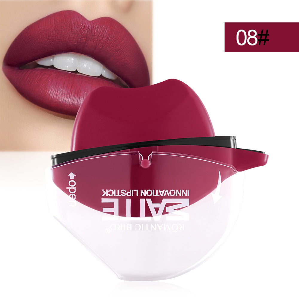 Matte Lipstick Lip Gloss in Creative Shapes