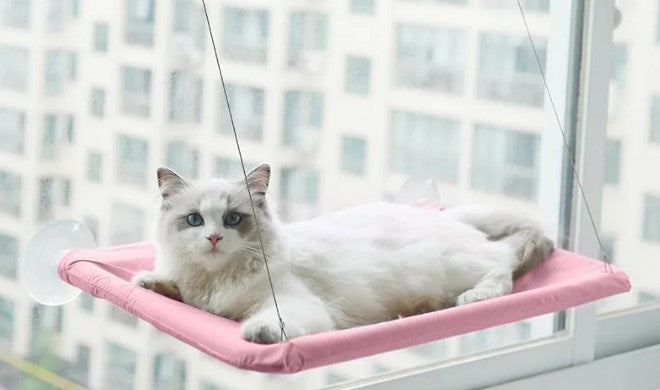 Cat Window Hammock – Suction Cup Hanging Bed for Sunbathing & Lounging