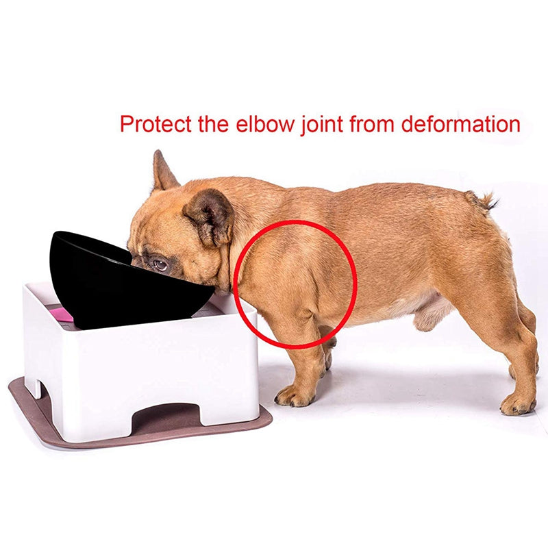 Silicone Pet Feeding Mat – Non-Slip Spill-Proof Dog & Cat Bowl Mat
