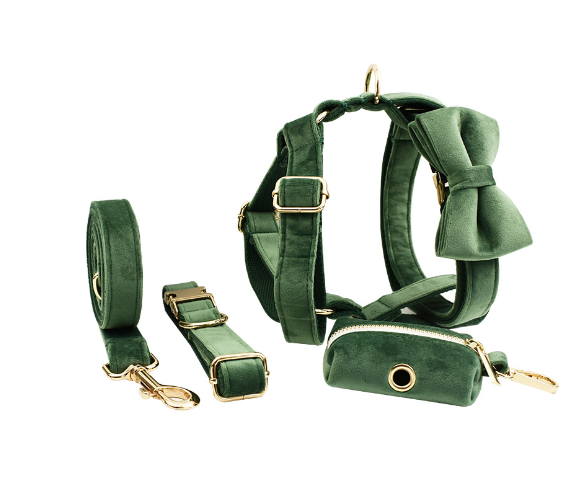 Adjustable Velvet Dog Collar – Soft Luxury Pet Collar in 19 Stylish Colors